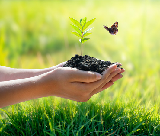 Sustainability Report