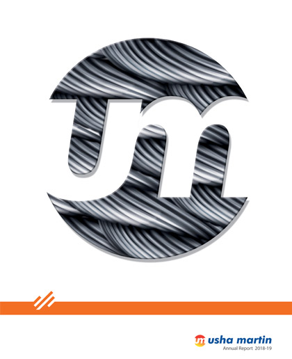 Subsidiary Annual Report(2) 2018 - 19